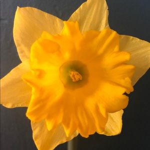 Meet your Posher, Debe